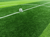 marquage-Foot